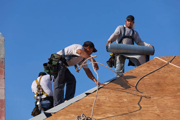 Best Emergency Roof Repair  in Westville, NJ