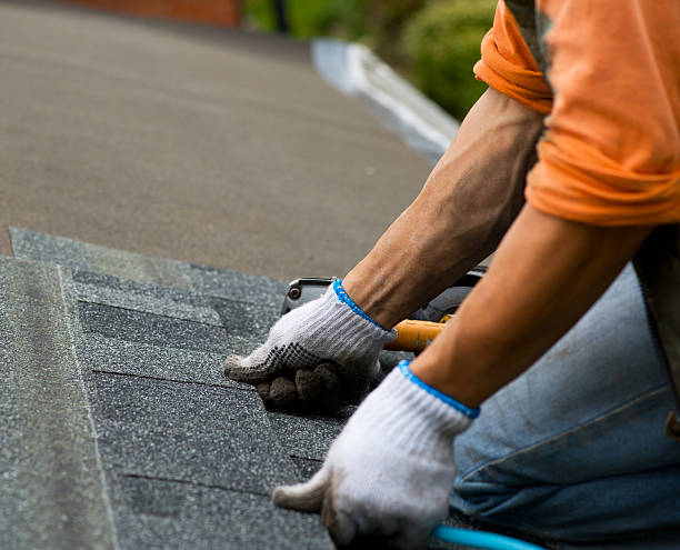 Roof Gutter Cleaning in Westville, NJ